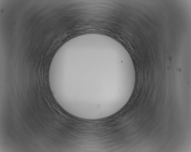 X0000084040713200703161831