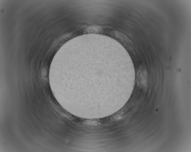 X0000084040714200703161831