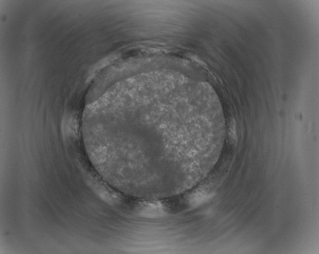 X0000084040715200703161831