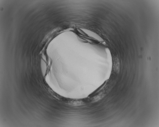 X0000084040716200703161831