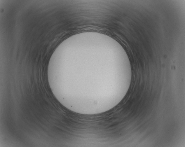 X0000084040717200703161831