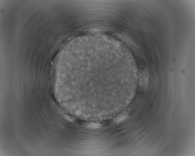 X0000084040718200703161831