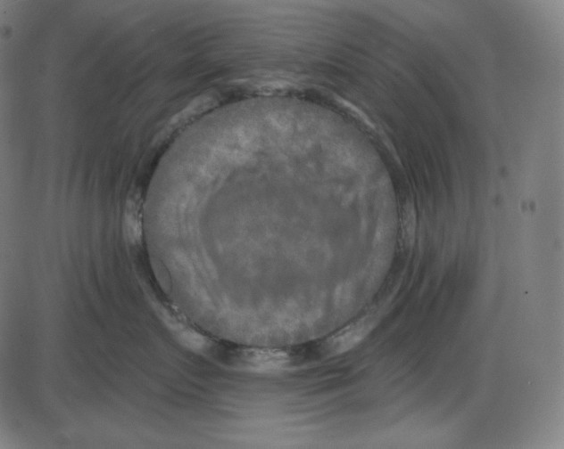 X0000084040719200703161831