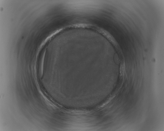 X0000084040722200703161830