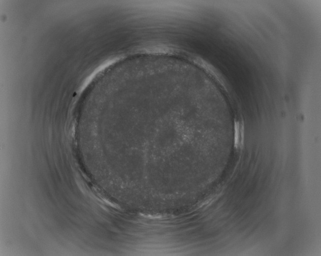 X0000084040723200703161830