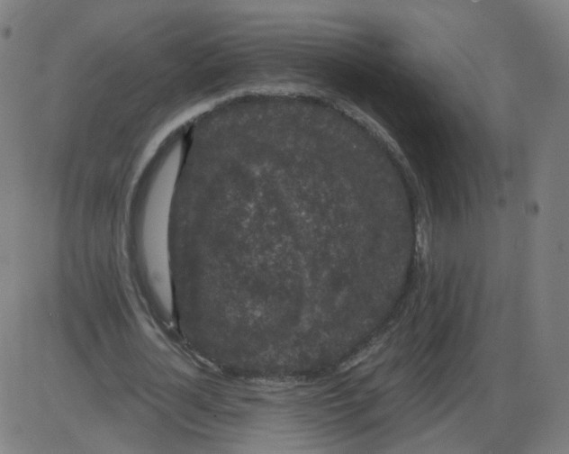 X0000084040724200703161830