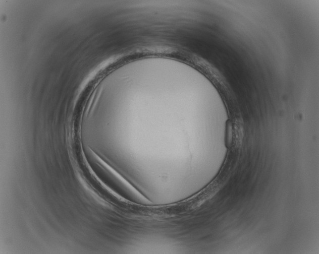 X0000084040726200703161830