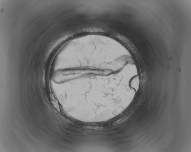 X0000084040727200703161830