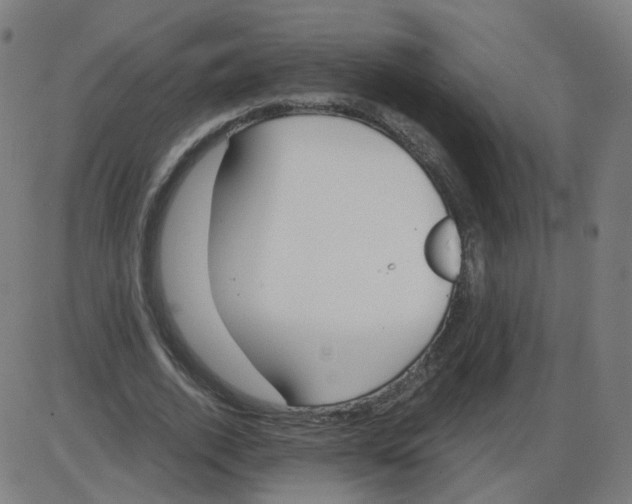 X0000084040728200703161830