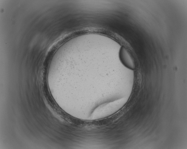 X0000084040730200703161830