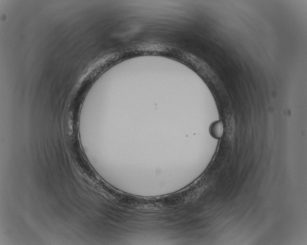 X0000084040731200703161830