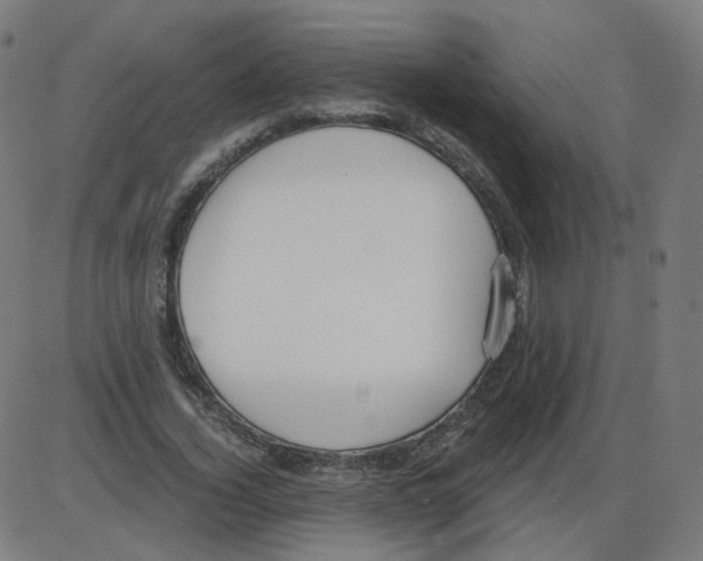 X0000084040732200703161830