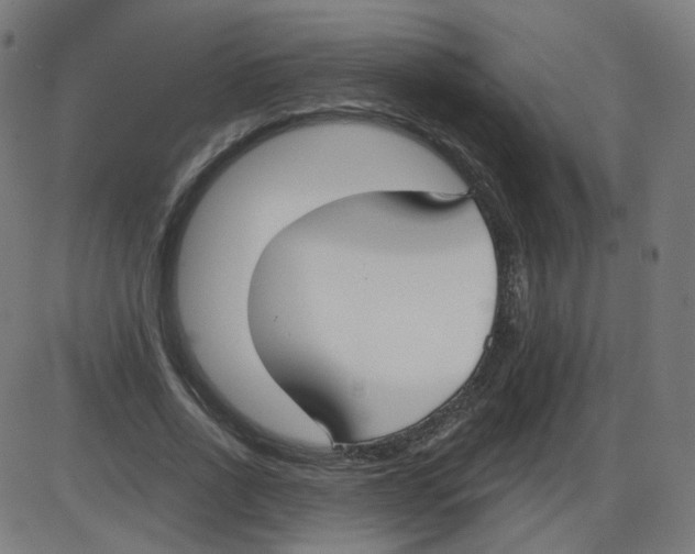 X0000084040734200703161831