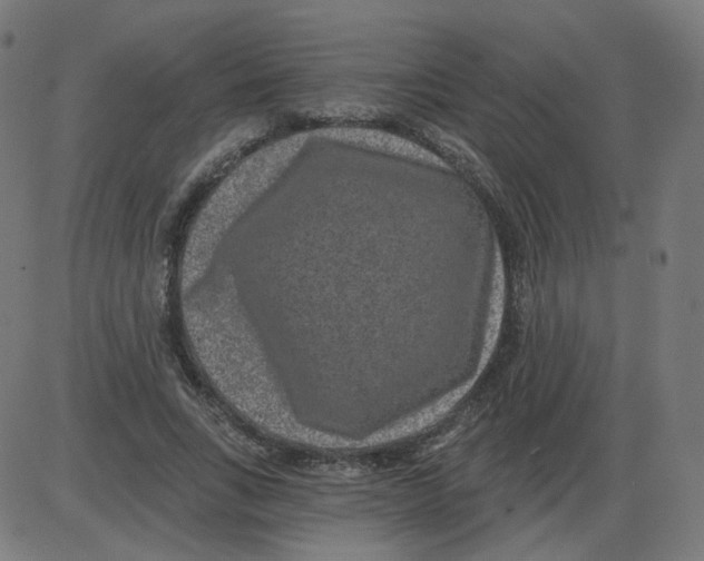 X0000084040735200703161831