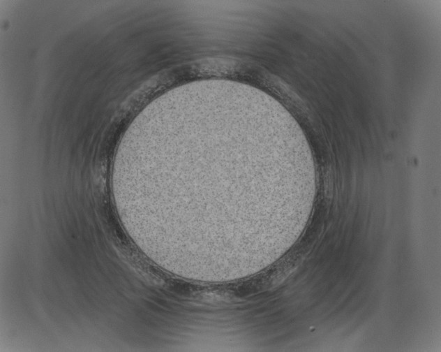 X0000084040737200703161831