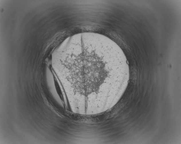 X0000084040738200703161831