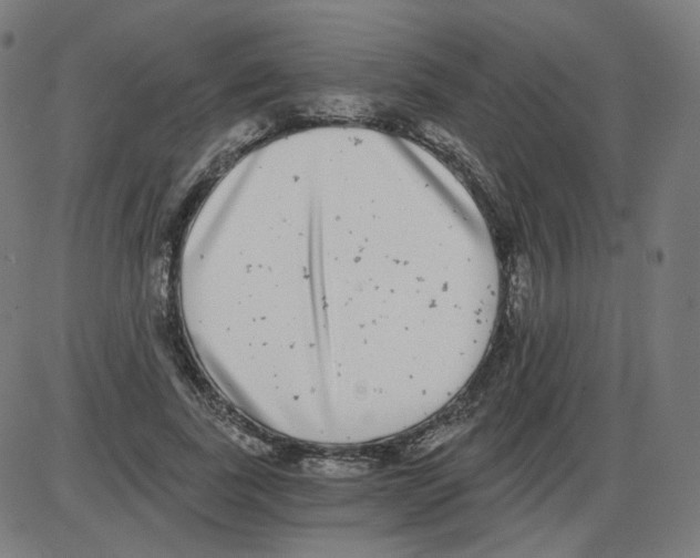 X0000084040739200703161831