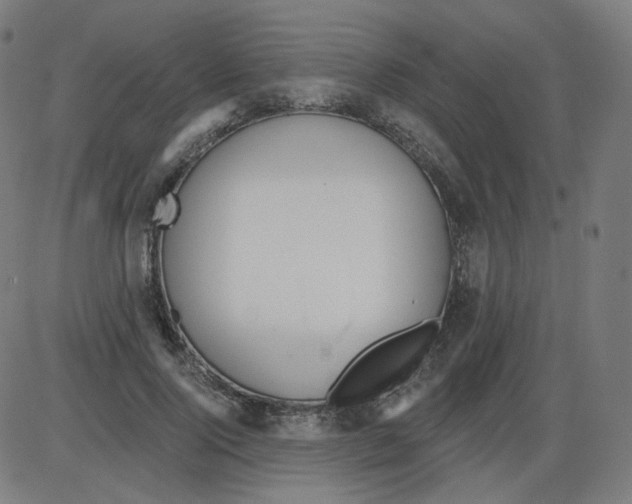 X0000084040740200703161831