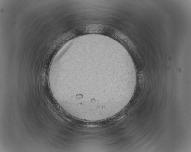 X0000084040741200703161831