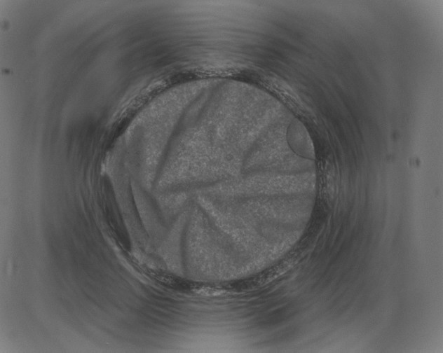 X0000084040742200703161831