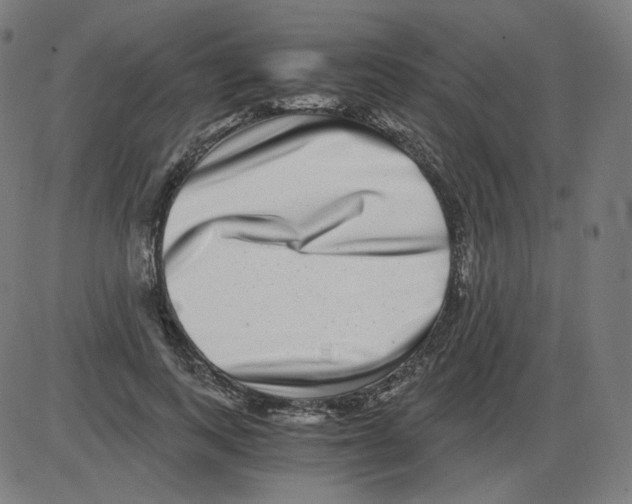 X0000084040743200703161831