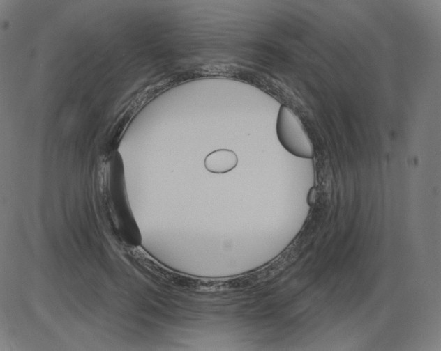 X0000084040744200703161831