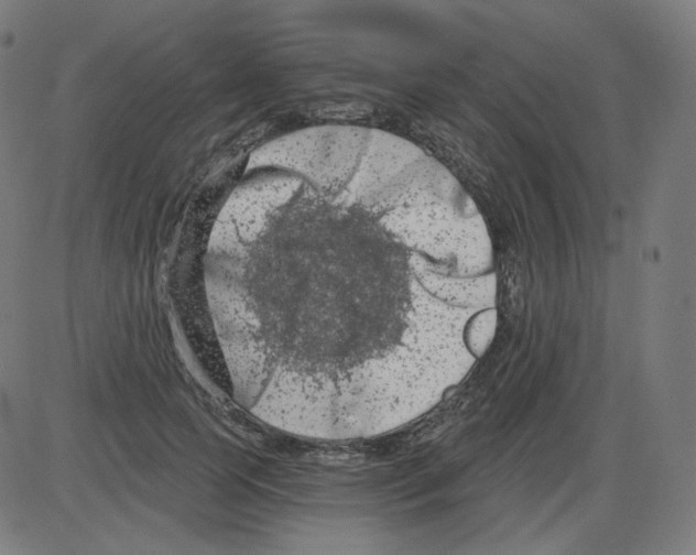 X0000084040745200703161831