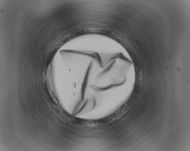 X0000084040746200703161831