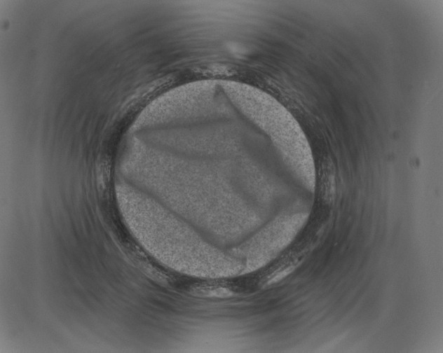 X0000084040747200703161831