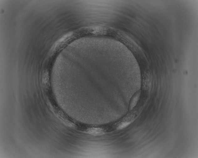 X0000084040748200703161831