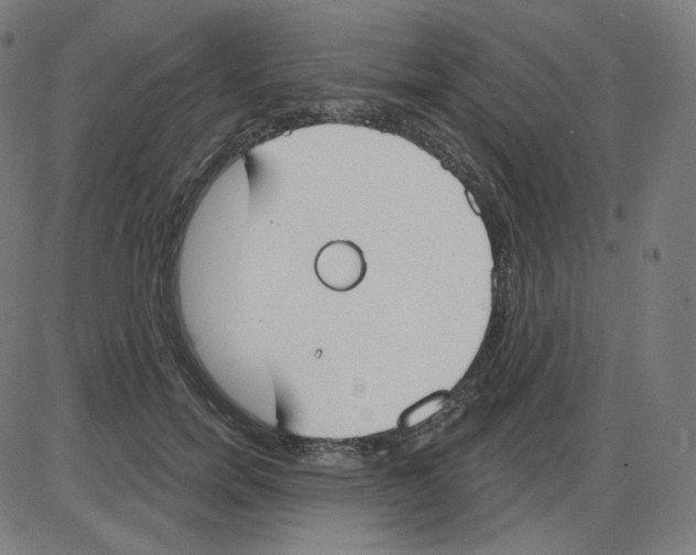 X0000084040750200703161831