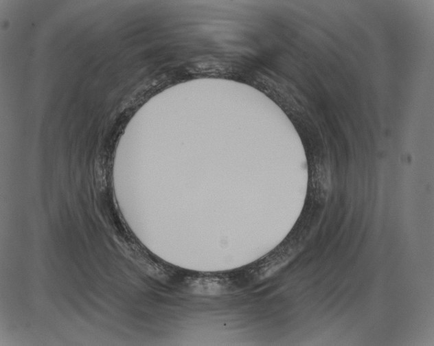 X0000084040751200703161831