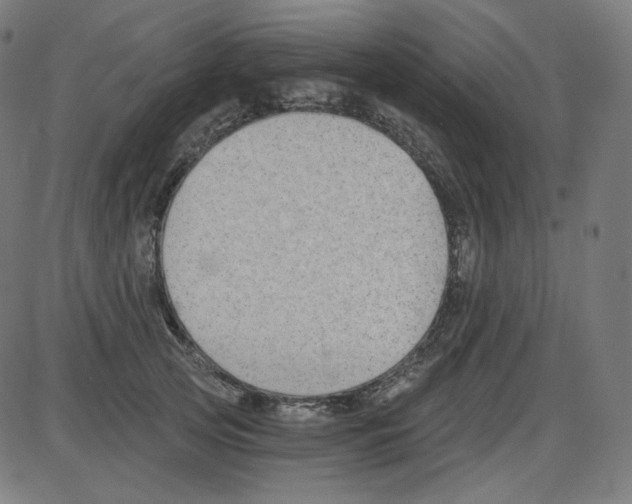 X0000084040753200703161831