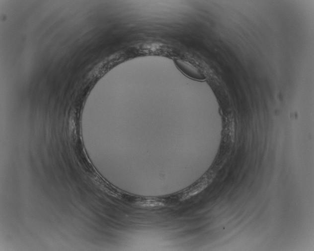 X0000084040754200703161831