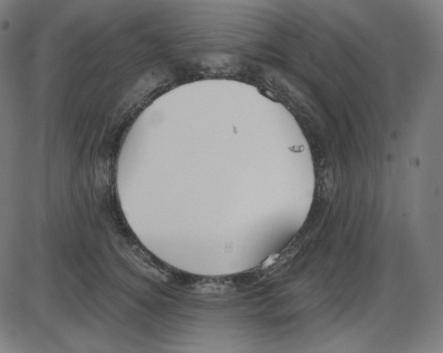 X0000084040756200703161831