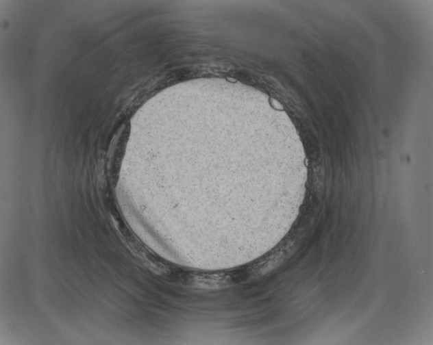 X0000084040757200703161831