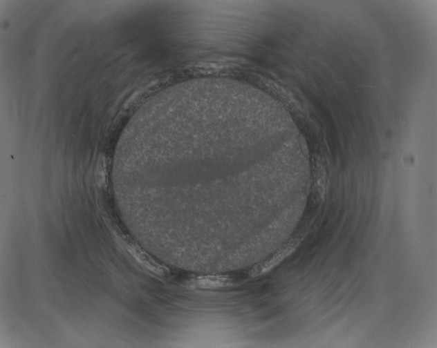 X0000084040758200703161831