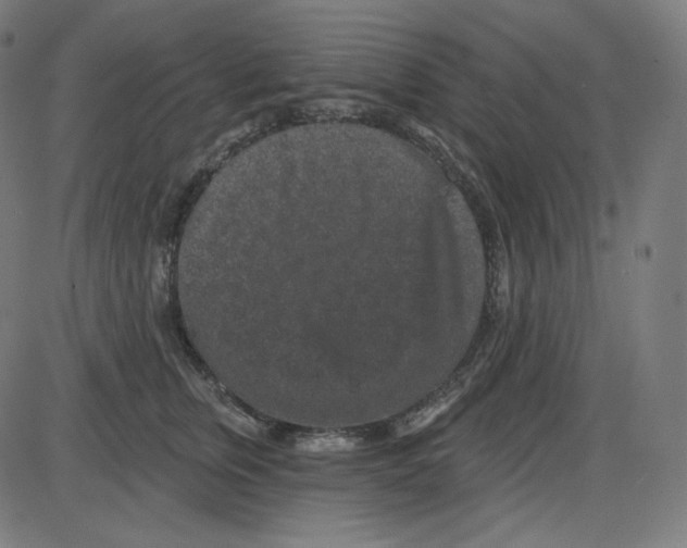 X0000084040759200703161831