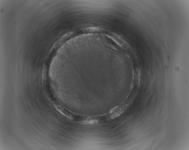 X0000084040760200703161831