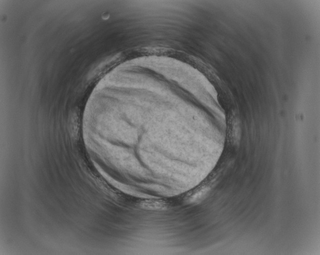 X0000084040762200703161831