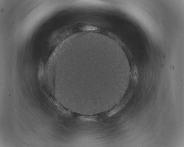 X0000084040763200703161831