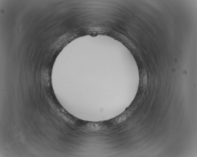 X0000084040764200703161831