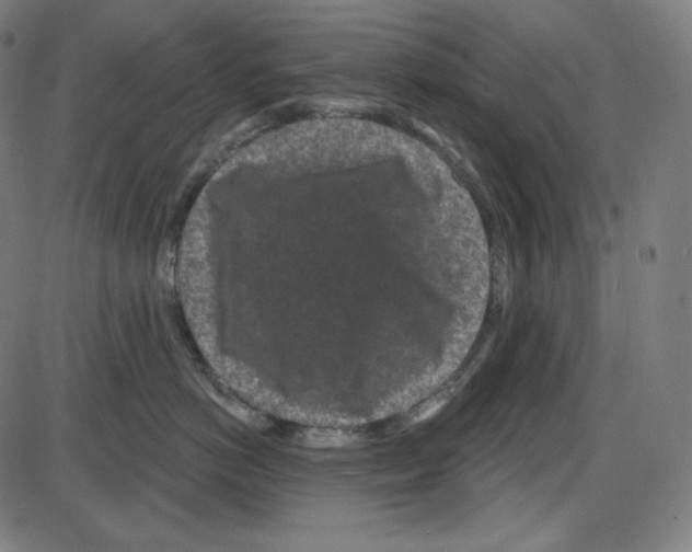 X0000084040766200703161831