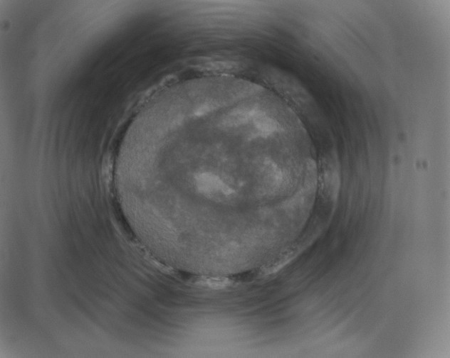 X0000084040767200703161831