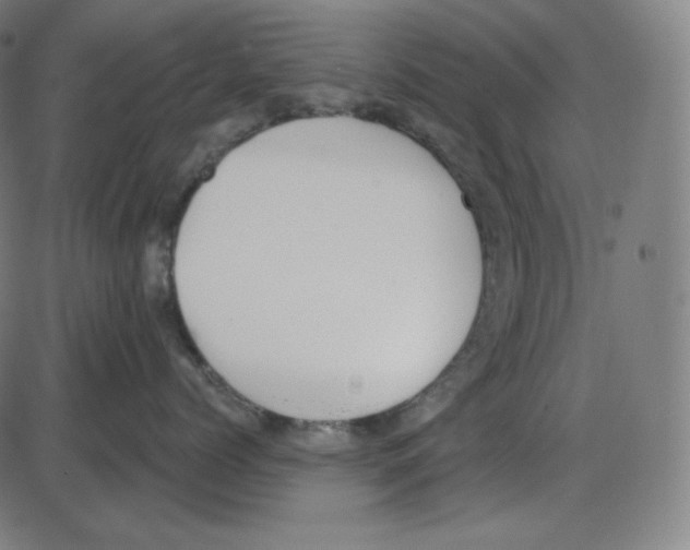 X0000084040768200703161831