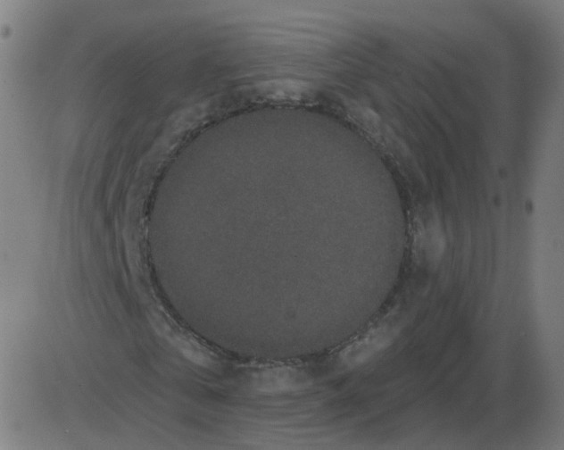 X0000084040769200703161830