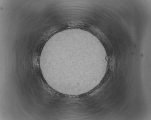 X0000084040770200703161830