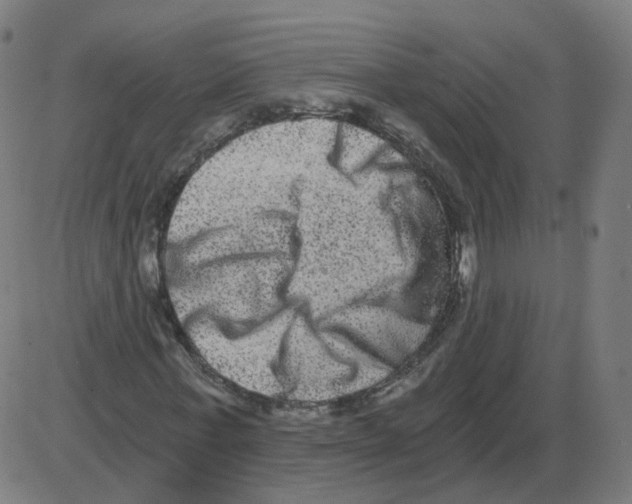 X0000084040771200703161830