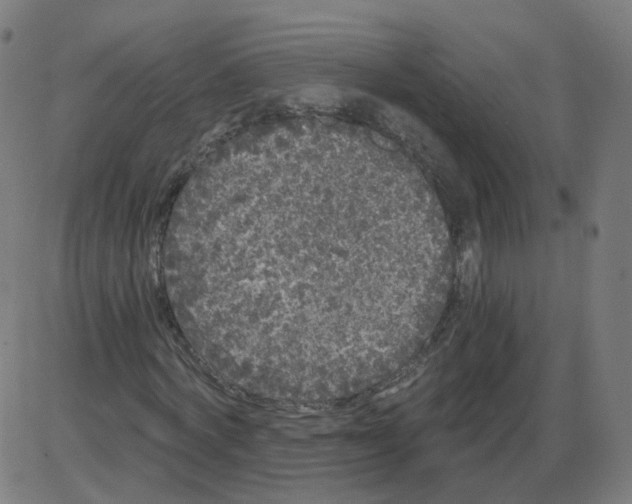 X0000084040772200703161830