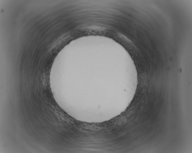 X0000084040774200703161830